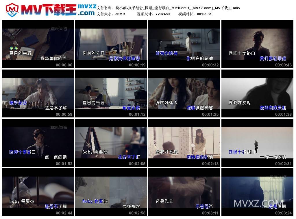魏小麒-执手纪念_国语_流行歌曲_MB108591